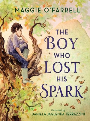 cover image of The Boy Who Lost His Spark